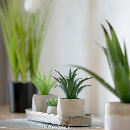 Blue Harmony D&d * Dziwnów