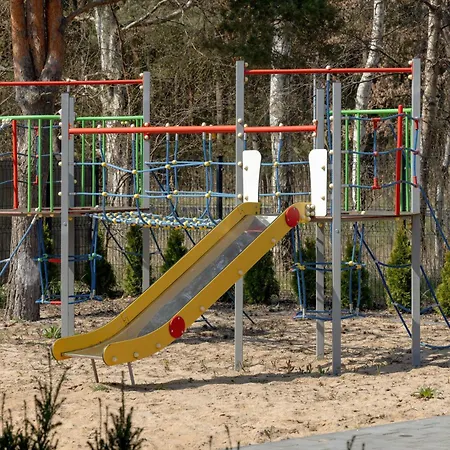 Daire Blue Harmony D&d