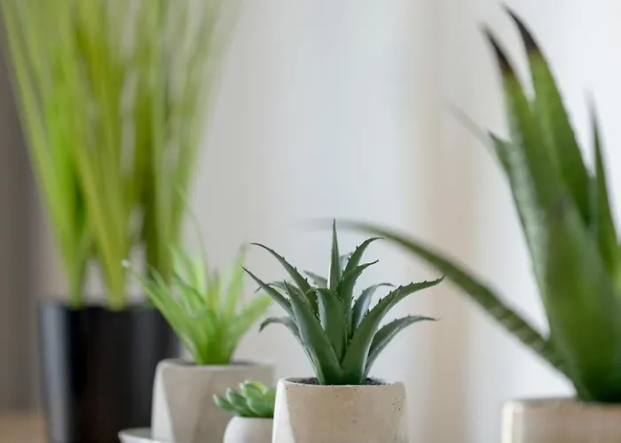 Blue Harmony D&d * Dziwnów